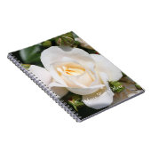 Carnet fleurs de rose blanches assez pures. amour, romanc (Côté Droit)