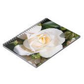 Carnet fleurs de rose blanches assez pures. amour, romanc (Côté gauche)