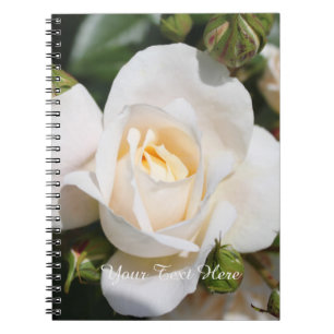 Carnet fleurs de rose blanches assez pures. amour, romanc