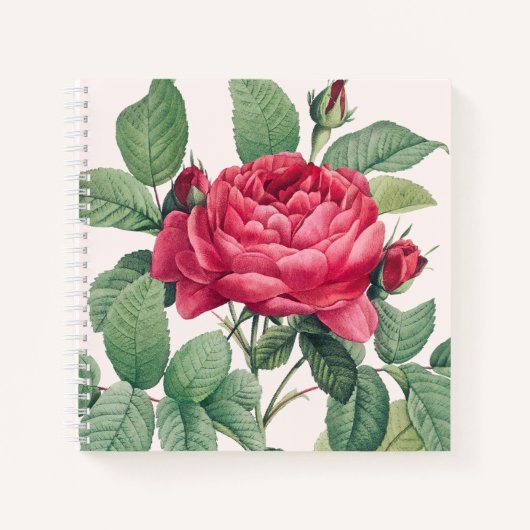 Carnet Fleurs de rose rouge avec Feuilles verts (Devant)