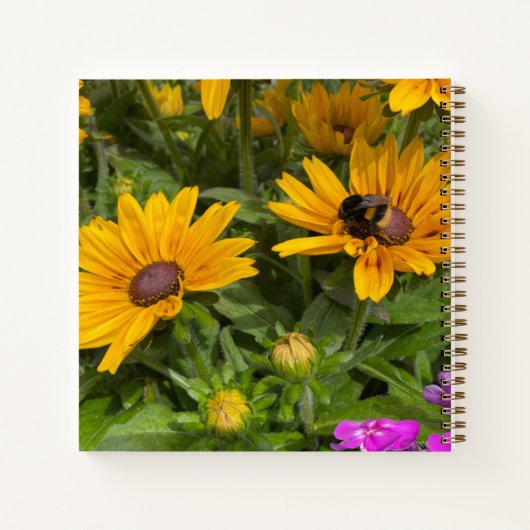 Carnet Fleurs de Rudbeckia jaune Pink Phlox et abeille (Dos)