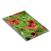 CARNET FLEURS DE RUDBECKIA ROUGES (Côté Droit)