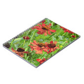 CARNET FLEURS DE RUDBECKIA ROUGES (Côté gauche)