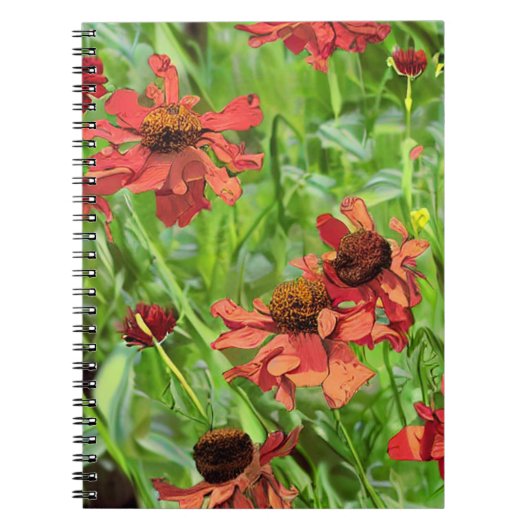 CARNET FLEURS DE RUDBECKIA ROUGES (Devant)