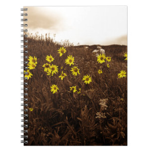 Carnet Fleurs de soleil