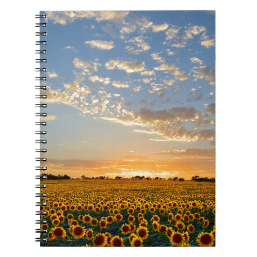 Carnet Fleurs de soleil au coucher du soleil (Devant)
