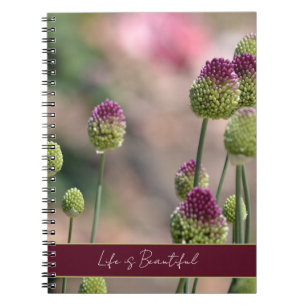 Carnet Fleurs de trèfle vert pourpre