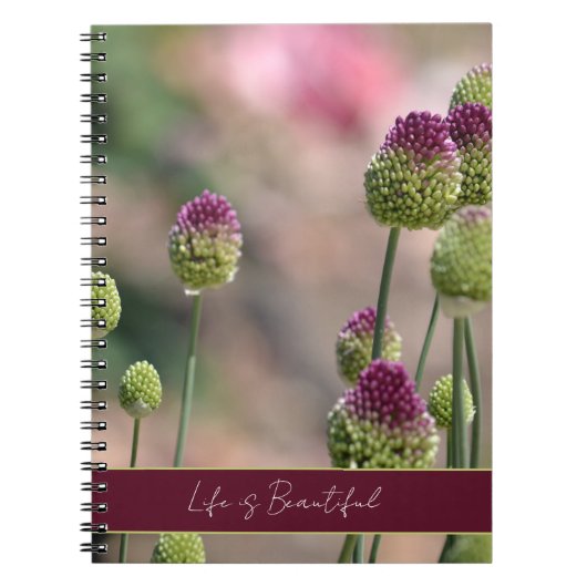 Carnet Fleurs de trèfle vert pourpre (Devant)