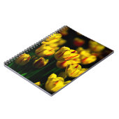 Carnet Fleurs de tulipe jaune (Côté gauche)