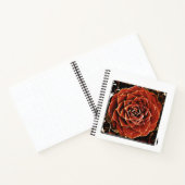 Carnet Fleurs de Vie (Intérieur)