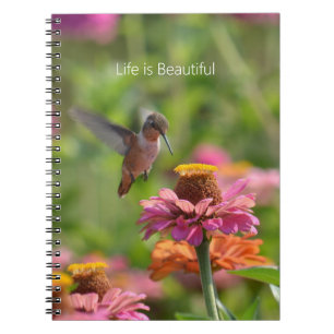 Carnet Fleurs de Zinnia Colibri (ma photographie)