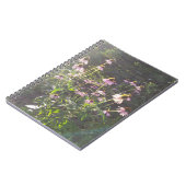 Carnet Fleurs d'échinacée au soleil (Côté gauche)