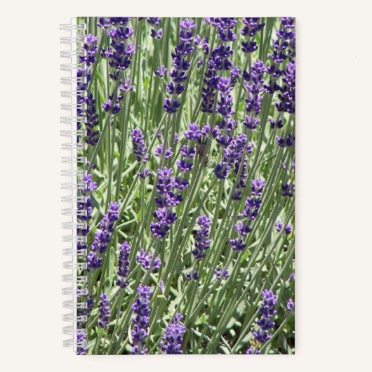 Carnet Fleurs d'herbe lavande florale (Recto)