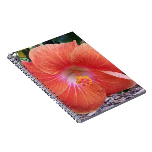 Carnet Fleurs d'Hibiscus d'Hawaï (Côté Droit)