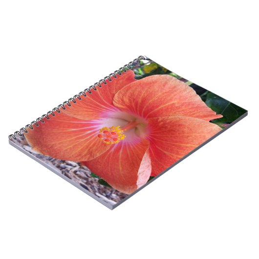Carnet Fleurs d'Hibiscus d'Hawaï (Côté gauche)