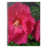 Carnet Fleurs d'hibiscus roses (Devant)