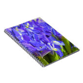 Carnet Fleurs d'Iris (Côté Droit)