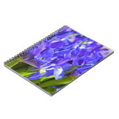 Carnet Fleurs d'Iris (Côté gauche)