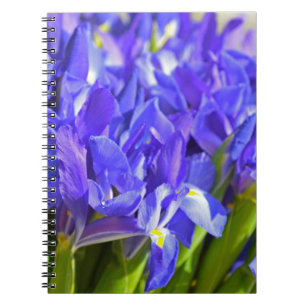 Carnet Fleurs d'Iris