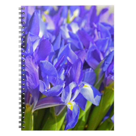 Carnet Fleurs d'Iris (Devant)