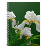 Carnet Fleurs d'Iris à poils blancs (Devant)