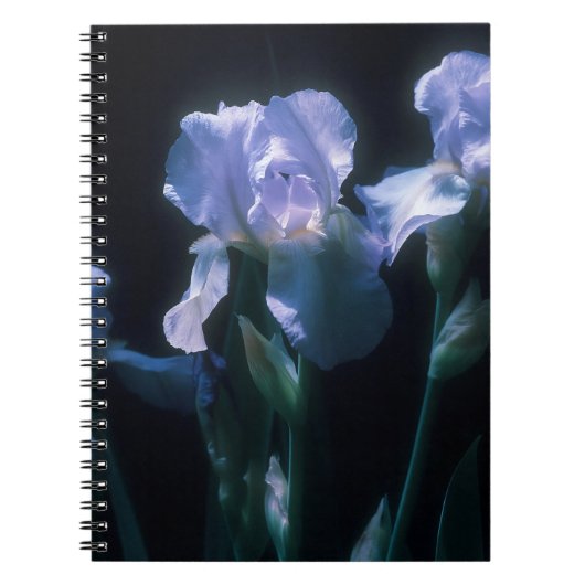 Carnet Fleurs d'Iris au Crépuscule (Devant)