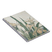 Carnet Fleurs d'iris et sauterelle, c.1830-31 (Côté Droit)