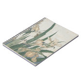 Carnet Fleurs d'iris et sauterelle, c.1830-31 (Côté gauche)