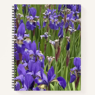Carnet Fleurs d'Iris Violet Nature Plantes Photographie