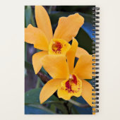 Carnet Fleurs d'orchidée orange en floraison (Verso)