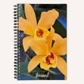 Carnet Fleurs d'orchidée orange en floraison (Recto)