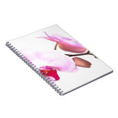 Carnet Fleurs d'orchidées aziza (Côté Droit)