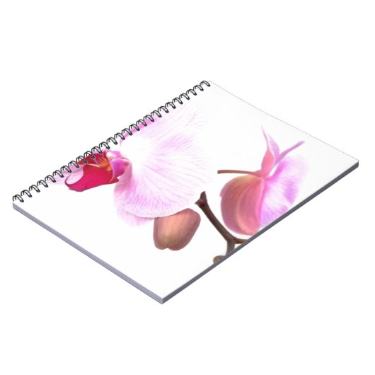 Carnet Fleurs d'orchidées aziza (Côté gauche)