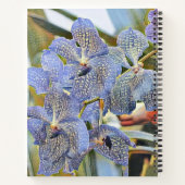 Carnet Fleurs d'orchidées de couleur lavande bleue (Dos)