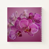 Carnet Fleurs d'orchidées roses Magenta Monogramme (Dos)