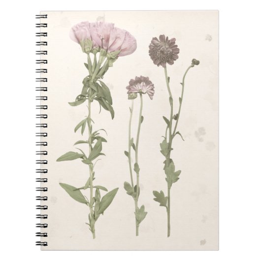 Carnet Fleurs en rose (Devant)