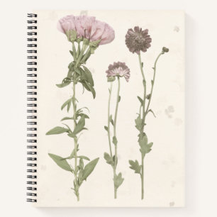 Carnet Fleurs en rose