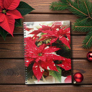 Carnet Fleurs festives rouges et blanches de poinsettia