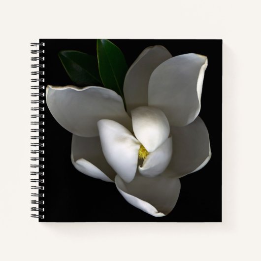 Carnet Fleurs | Fleur de Magnolia blanc unique (Devant)