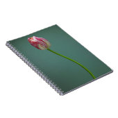 Carnet Fleurs | Fleur de tulipe unique (Côté Droit)