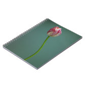 Carnet Fleurs | Fleur de tulipe unique (Côté gauche)