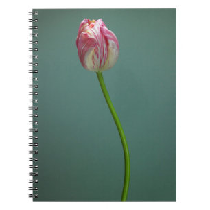 Carnet Fleurs   Fleur de tulipe unique