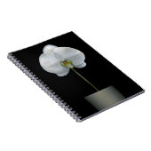 Carnet Fleurs | Fleur d'orchidées blanches (Côté Droit)