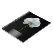 Carnet Fleurs | Fleur d'orchidées blanches (Côté gauche)
