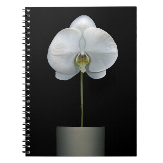 Carnet Fleurs | Fleur d'orchidées blanches (Devant)