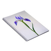 Carnet Fleurs | Fleur Iris Violet (Côté Droit)