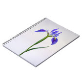 Carnet Fleurs | Fleur Iris Violet (Côté gauche)