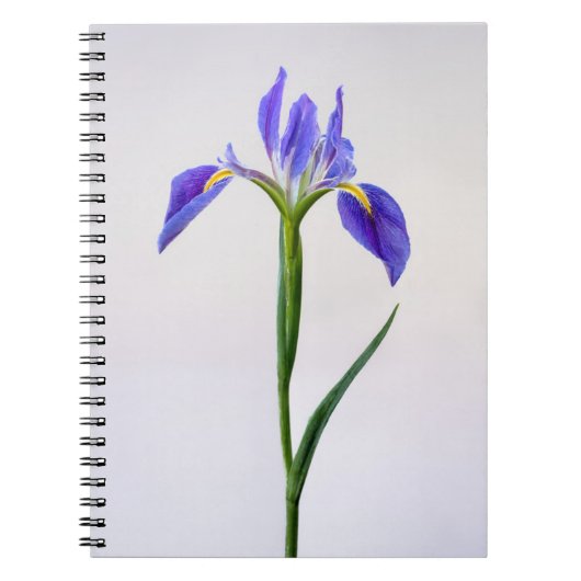 Carnet Fleurs | Fleur Iris Violet (Devant)