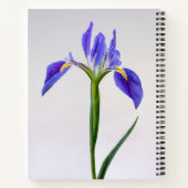 Carnet Fleurs | Fleur Iris Violet (Dos)