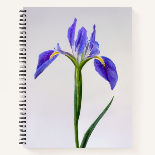 Carnet Fleurs | Fleur Iris Violet (Devant)